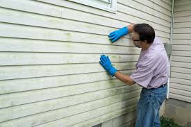 Best Custom Trim and Detailing for Siding  in Morton Grove, IL